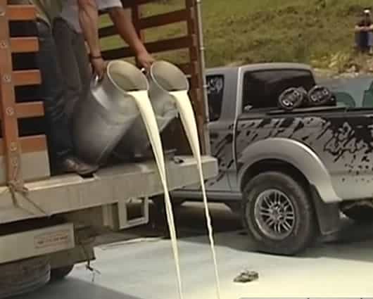 Cerca de 80.000 litros de leche se están perdiendo al día.