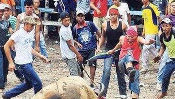 Testigos del hecho condenaron el comportamiento de los agresores. Foto: @fastcup