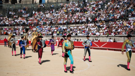 Un tribunal había inicialmente rechazado la demanda de las organizaciones animalistas. Foto: AFP