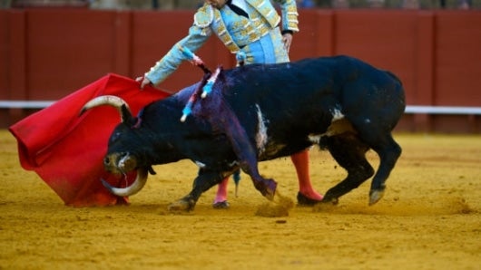 Corrida de toros. Foto: AFP