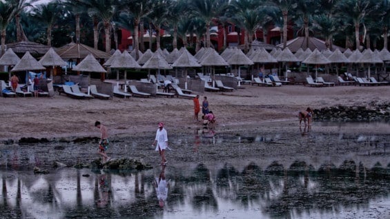El primer ministro, David Cameron, presidirá este jueves una reunión de urgencia sobre la evacuación. Foto: AFP