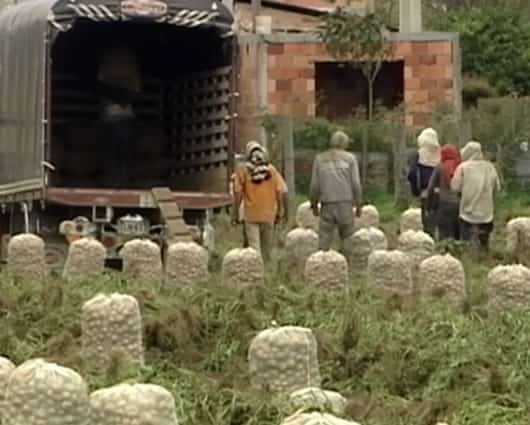 Representantes del Centro Democrático no creen acertado responsabilizar al TLC.