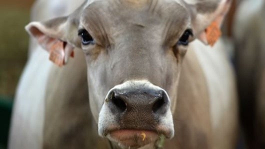 Foto: archivo NoticiasRCN.com