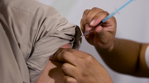 Mosquirix es la vacuna contra la malaria más avanzada desde un punto de vista clínico contra esta enfermedad.