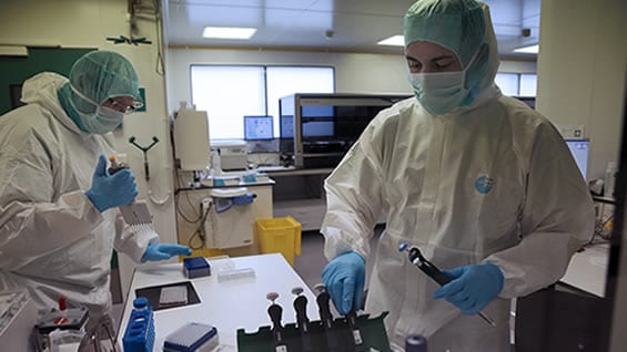 Los investigadores aseguran que estos resultados son "espectaculares". Foto: AFP