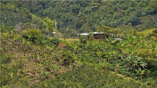 El programa beneficiará a cerca de 135.000 habitantes del Valle del Cauca. Foto: AFP