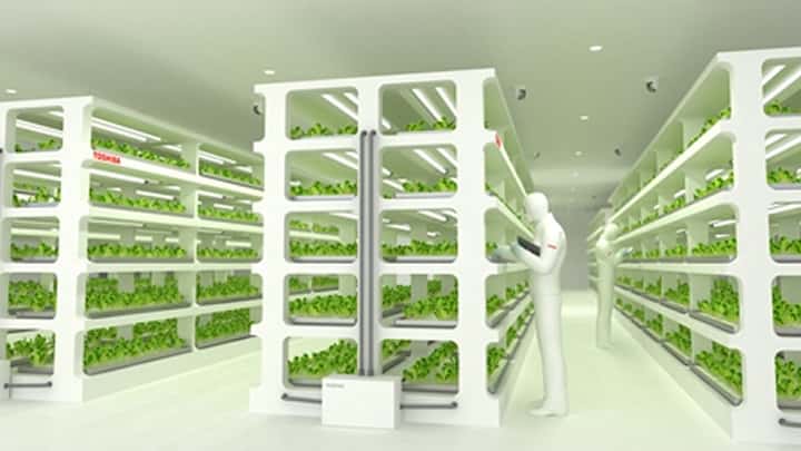 La fábrica aumentará las vitaminas normales de los alimentos. Foto: oficial