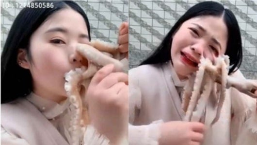 FOTO: Youtuber lucha contra un pulpo