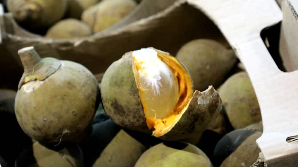 Foto: @PoliciaAntiNar