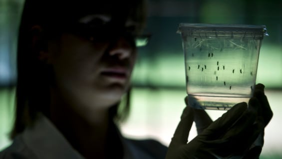 Dos de los casos aparecieron en personas que viajaron en diciembre a Colombia. Foto: AFP