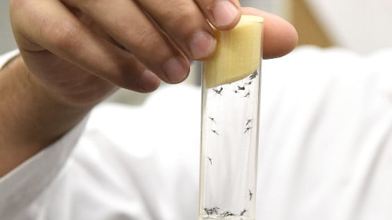 Foto de referencia. AFP.