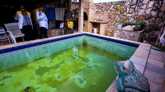 Se adelantan campañas para evitar la proliferación del mosquito. Foto. EFE