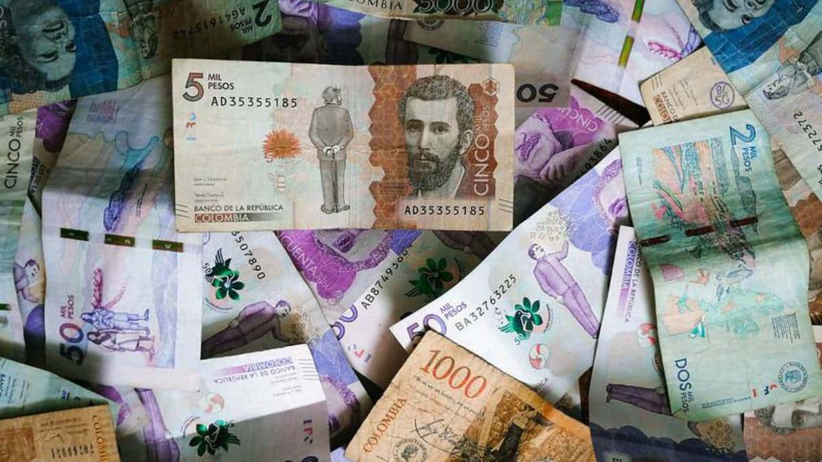 Contraloría detecta irregularidades en giros de subsidios