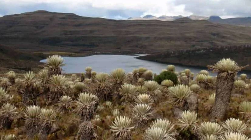 Conclusiones de consejo de seguridad sobre sumapaz