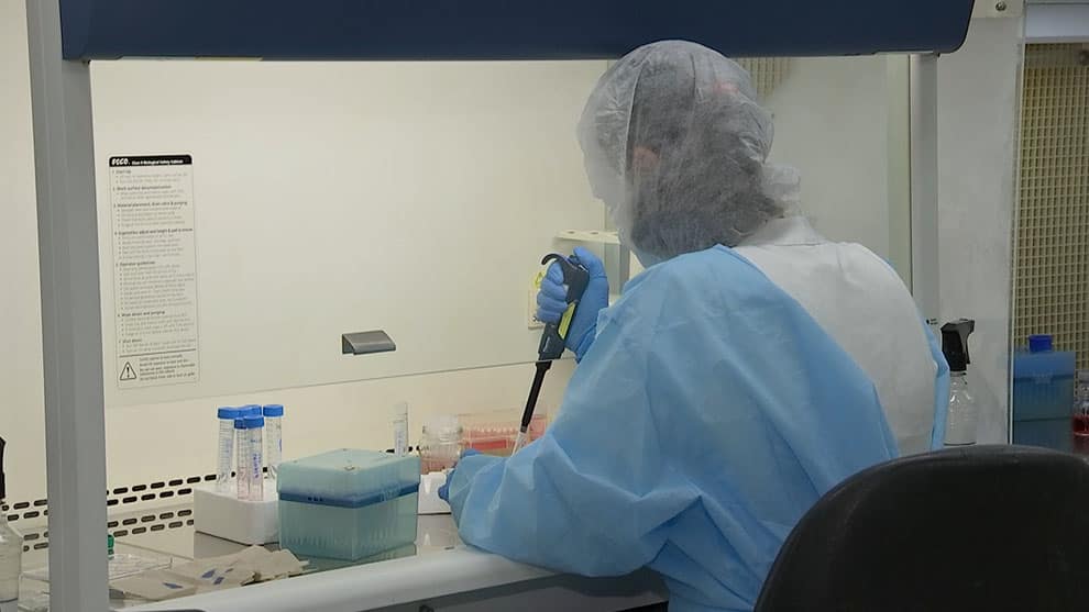 Preocupación entre especialistas por los casos de dengue en Colombia