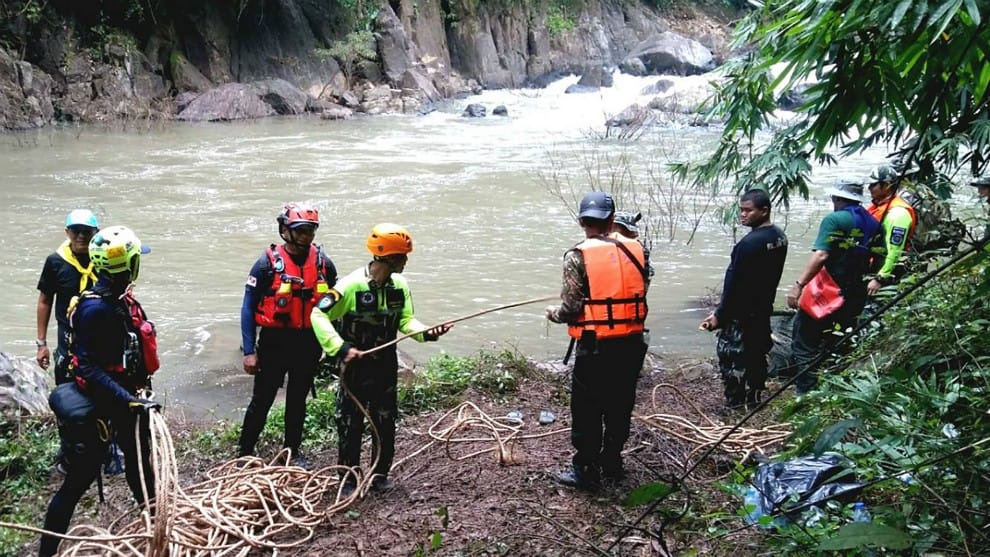 Hallan 11 cadáveres de elefantes que cayeron a un abismo