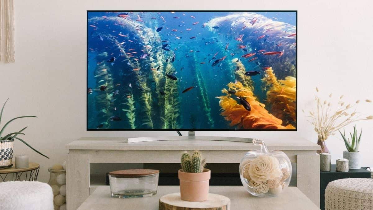 Día sin IVA en Market RCN: cinco opciones de televisores