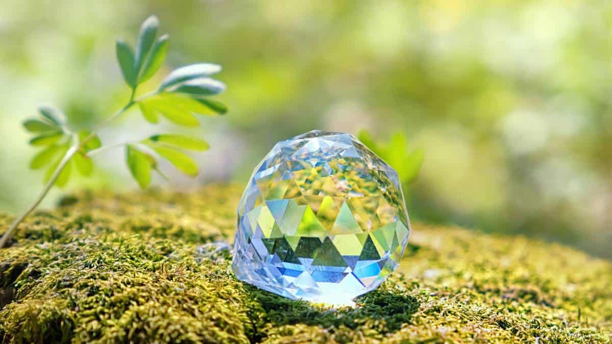 Conozca las siete tendencias sostenibles que marcarán el 2022