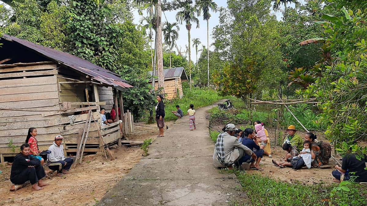 Terremoto en Indonesia dejó cerca de 50 muertos