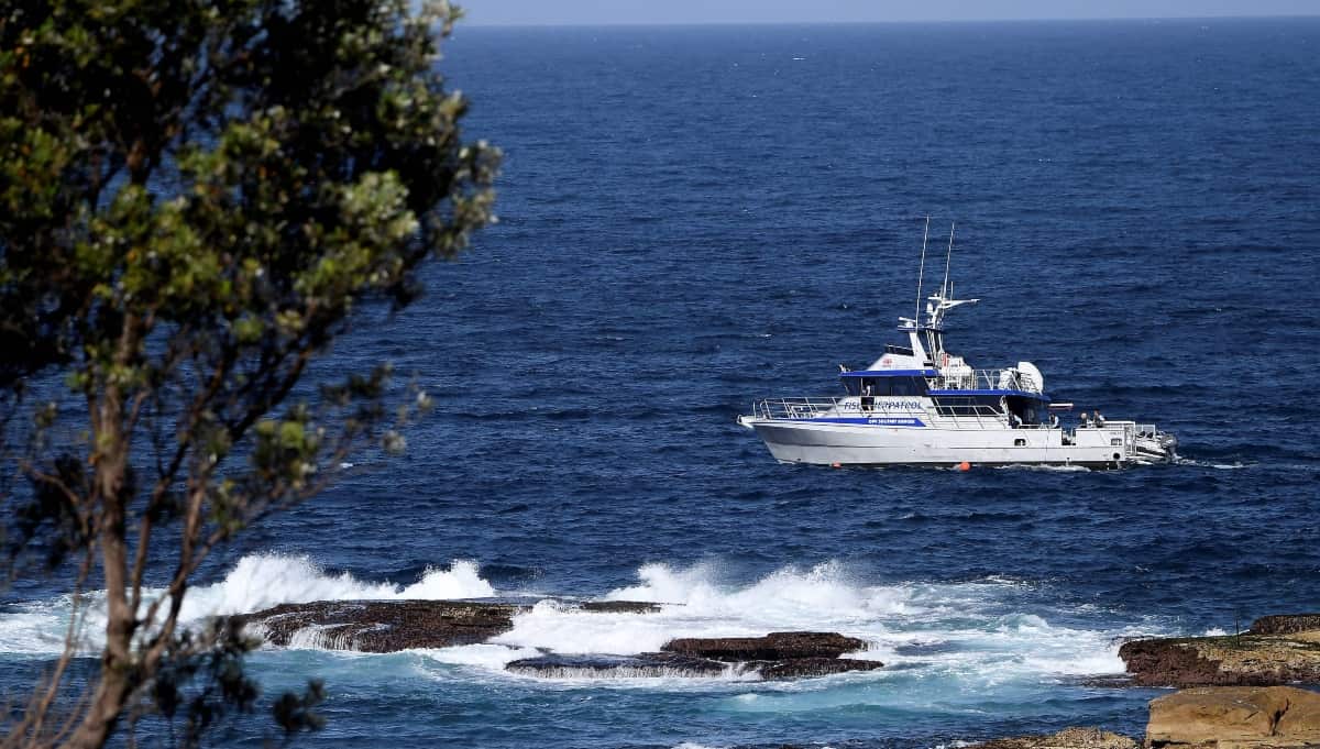 Tiburón en San Andrés