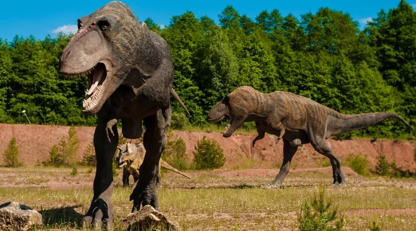 Así sería el tiranosaurio rex, no como en la película de Jurassic Park