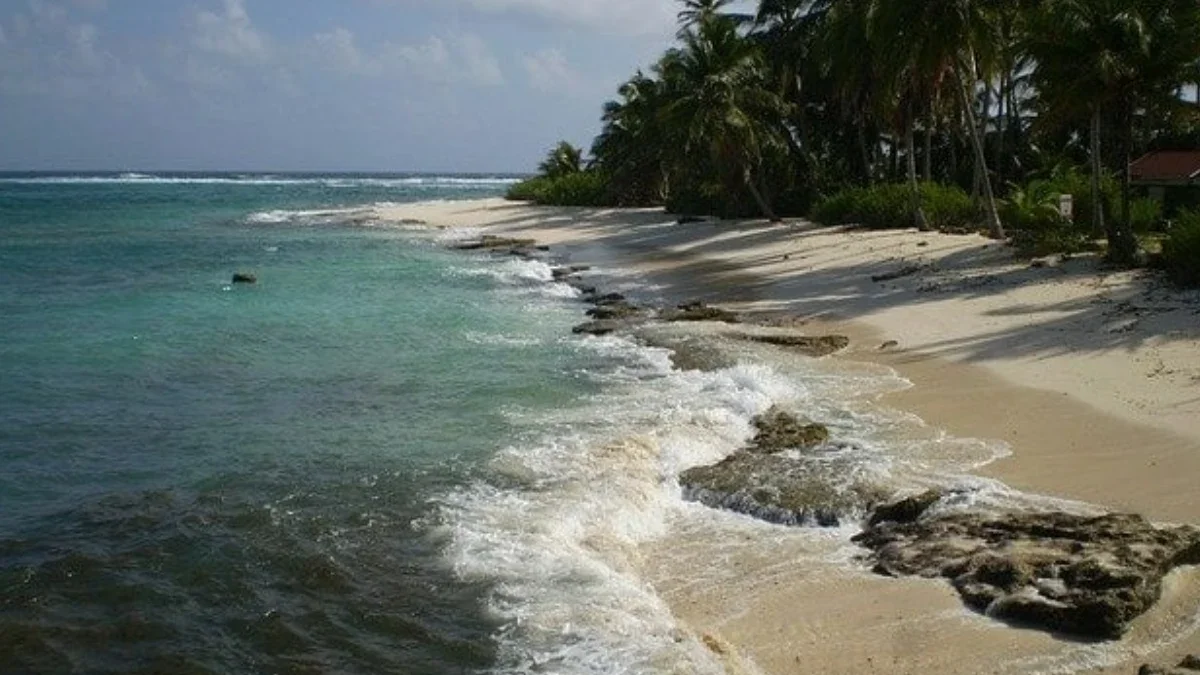Tormenta Julia pasa a huracán en madrugada del sábado