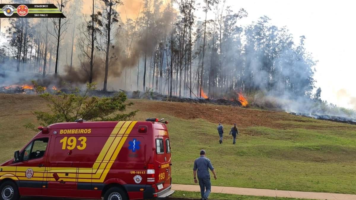 Tragedia aérea en Brasil