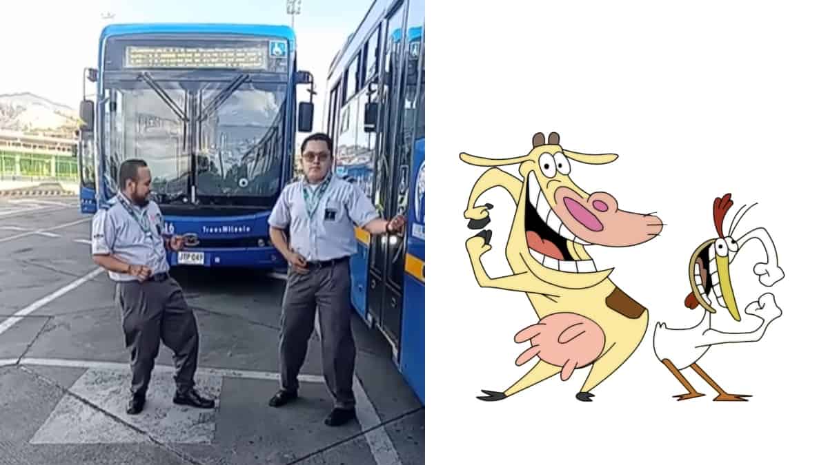 Dos conductores de Transmilenio y 'La vaca y el pollito'