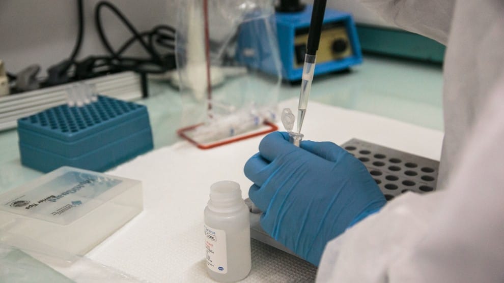 Foto: AFP Universidad de Oxford inicia pruebas de vacuna del coronavirus en humanos