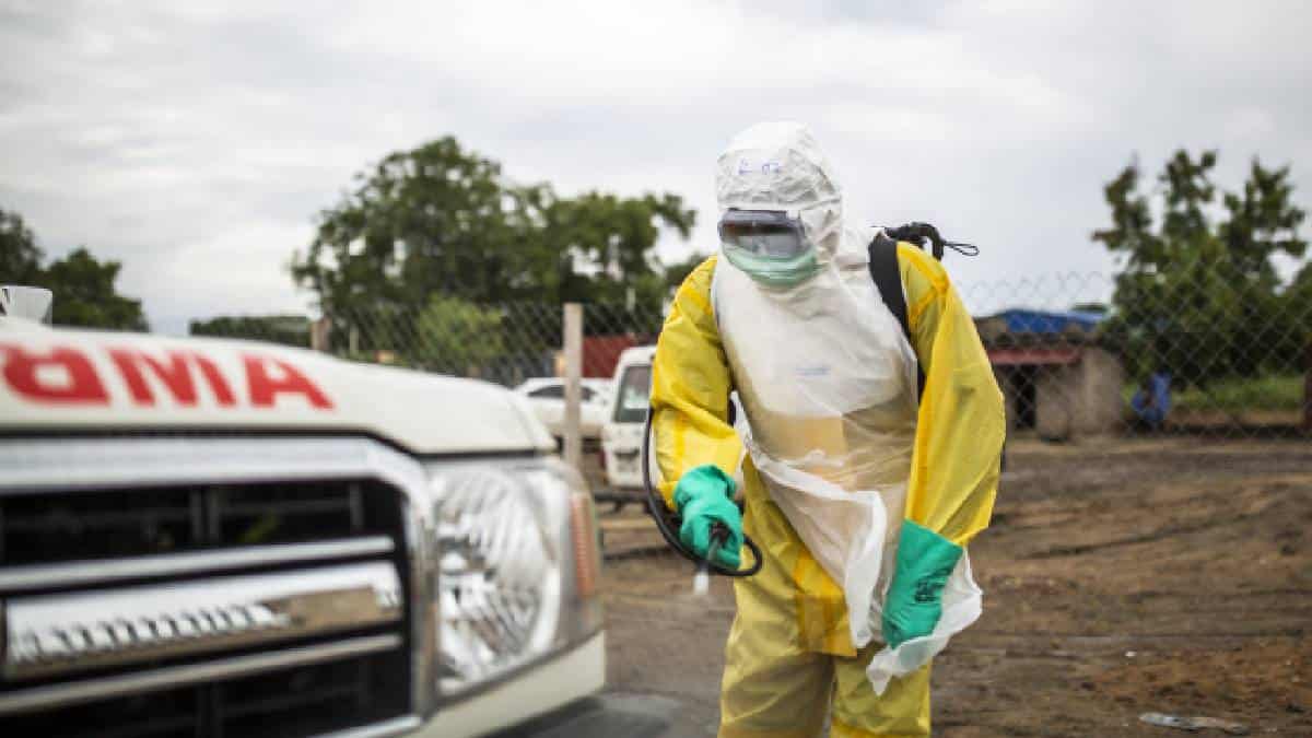 Marburgo el virus para el que no hay vacunas ni tratamiento
