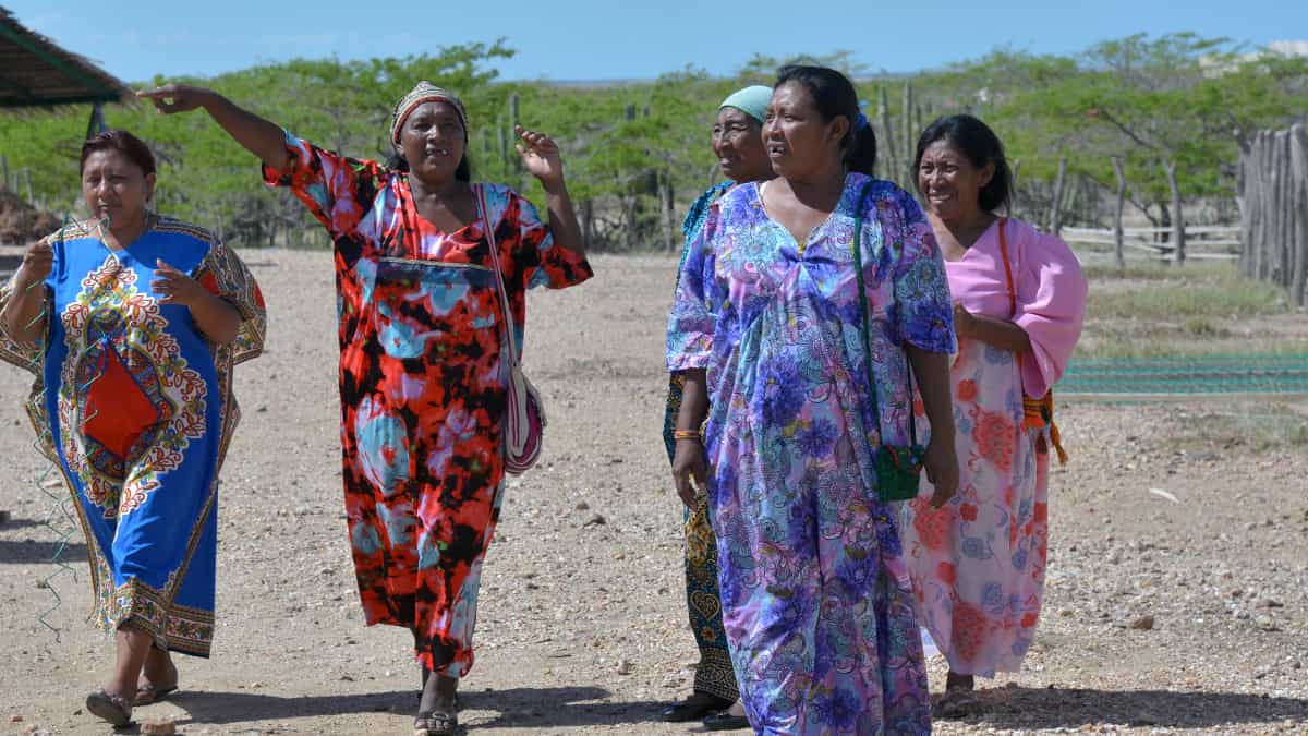 ‘El Banco de los Hilos’, la estrategia que lleva kits alimentarios a mujeres de La Guajira