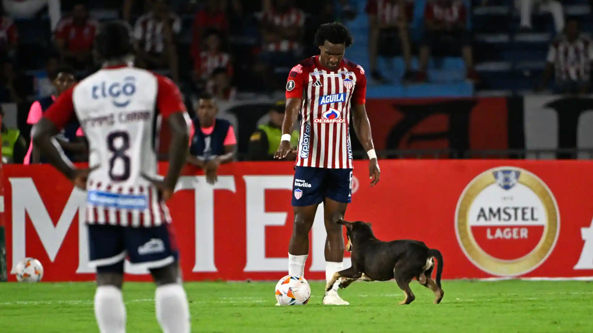 Junior de Barranquilla aplazó su clasificación