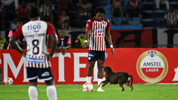 Junior de Barranquilla aplazó su clasificación tras igualar con Envigado: video de los goles