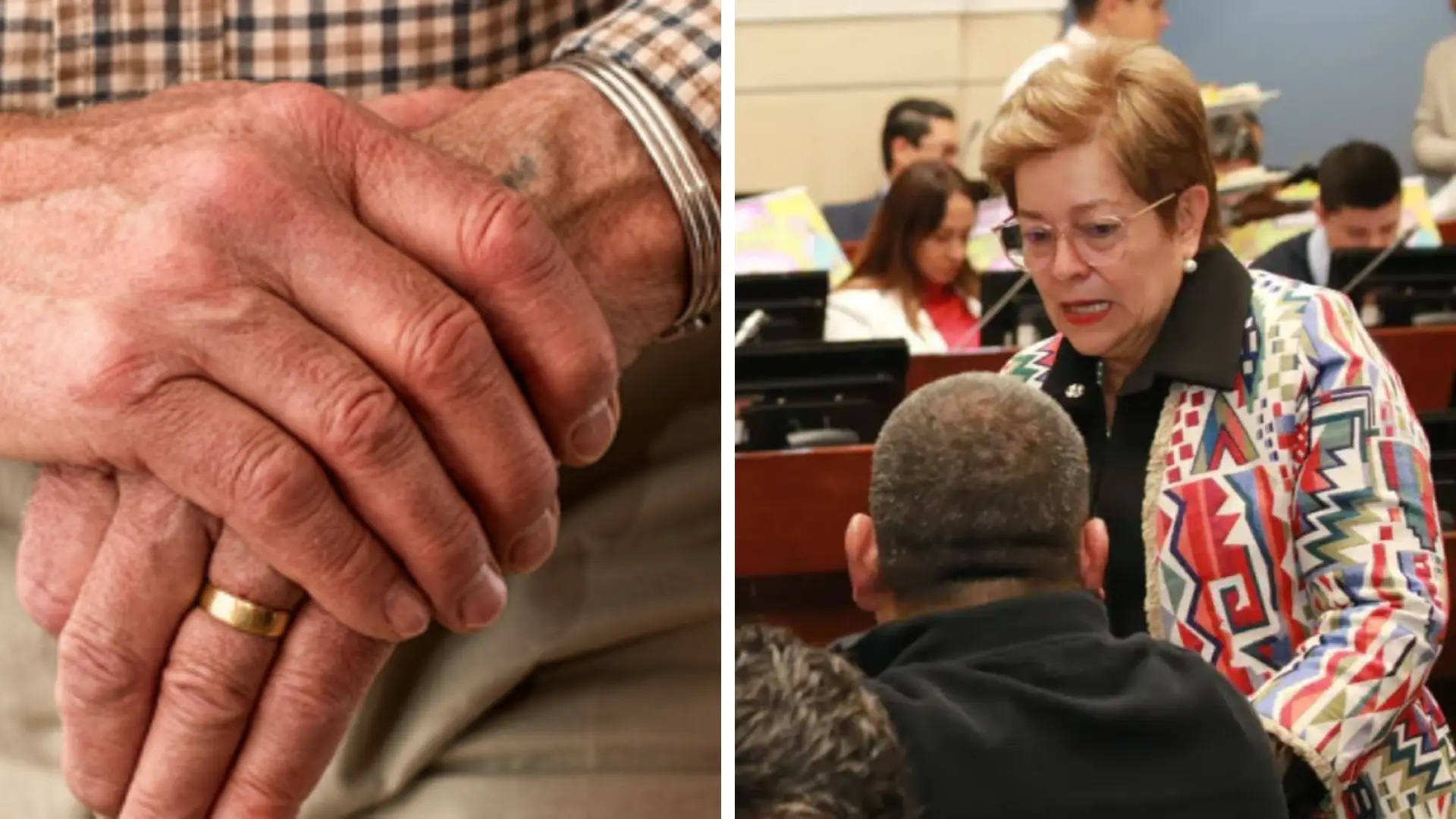 Gerente de Fedesarrollo analiza las modificaciones a la reforma pensional en el Senado.