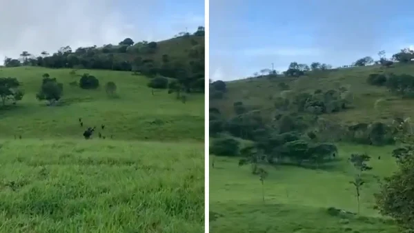 Combates entre Ejército y disidencias han obligado la evacuación de centros educativos en Argelia, Cauca