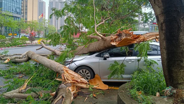 Tragedia en el sur de China: cuatro víctimas mortales por lluvias torrenciales