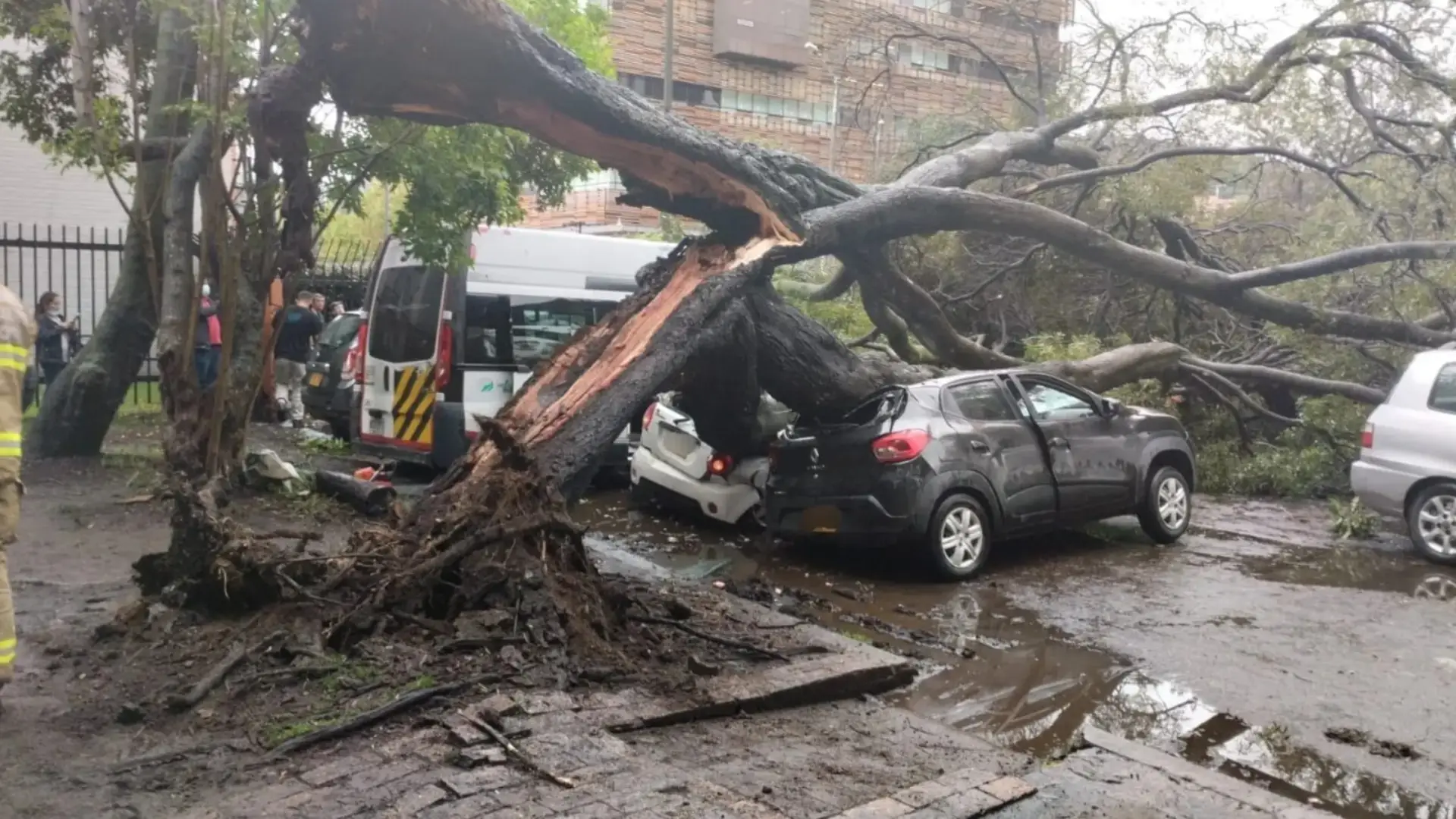 Árbol se desplomó y cayó sobre seis vehículos en el noroccidente de Bogotá
