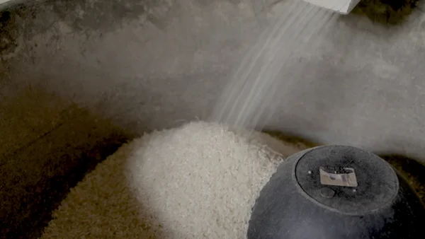 Espiga del Atrato: la historia de las mujeres del arroz en el Chocó