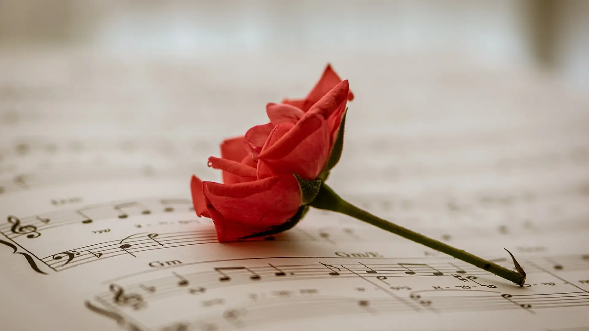 Fallecimiento Lucho Bermudez