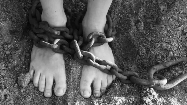 Pareja en EE. UU. secuestró, abusó y obligó a su hija a vivir en jaula para perros Pareja en EE. UU. secuestró, abusó y obligó a su hija a vivir en jaula para perros