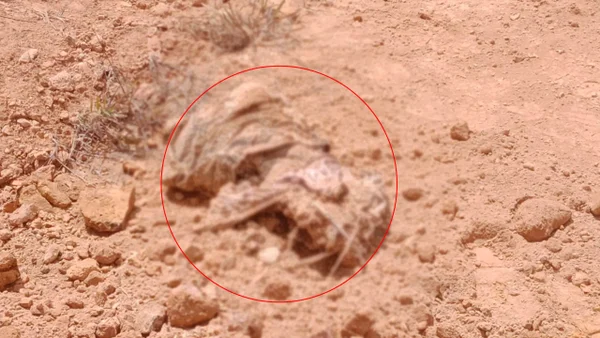 Restos humanos de al menos dos cuerpos fueron hallados en Altavista, Medellín Restos humanos de al menos dos cuerpos fueron hallados en Altavista, Medellín