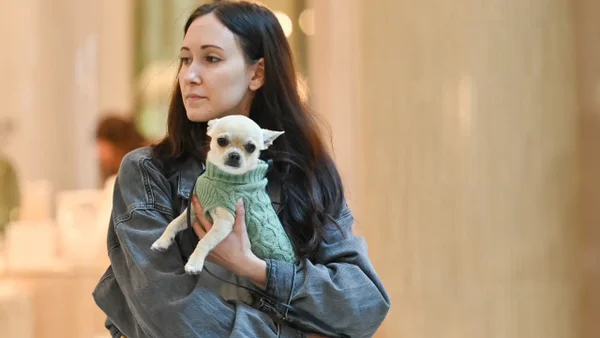 Lanzan campaña contra el abandono de animales de compañía en Transmilenio