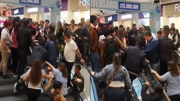 Perrito en peligro desató pánico en escaleras eléctricas en centro comercial en Bogotá: video