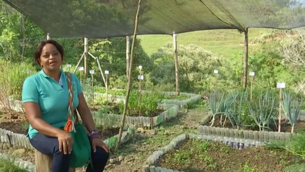 ‘Salvar las Plantas que Salvan Vidas’, el exitoso proyecto que se realiza en el norte del Cauca ‘Salvar las Plantas que Salvan Vidas’, el exitoso proyecto que se realiza en el norte del Cauca