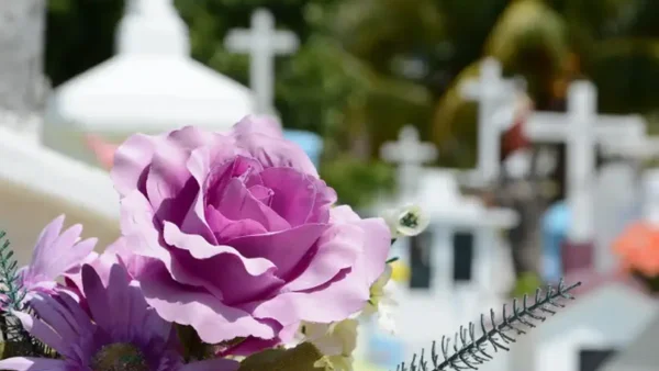 Niña de seis años víctima de feminicidio en Cali presentaba 15 heridas con arma blanca