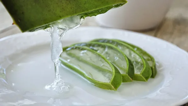 Consumo del Aloe Vera: Con este truco podrá reducir el colesterol