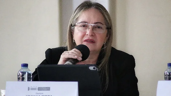 "Falta voluntad política para abordar los feminicidios", según la procuradora Viviana Mora