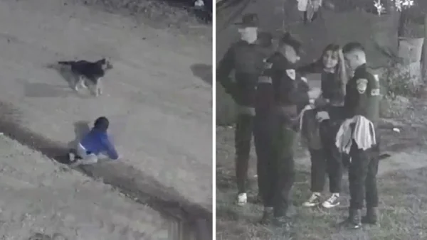 En video: Policía rescató a bebé que gateaba con un perro hacia una avenida en plena madrugada En video: Policía rescató a bebé que gateaba con un perro hacia una avenida en plena madrugada
