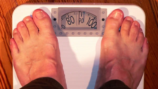 Obesógenos: ¿Qué es y por qué es la razón del sobrepeso en el ser humano?