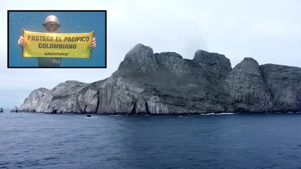 Malpelo: plástico, pesca indiscriminada y una generación dispuesta a salvar la reserva marina
